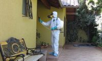 Fumigaciones